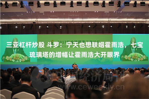 三亚杠杆炒股 斗罗：宁天也想联姻霍雨浩，七宝琉璃塔的增幅让霍雨浩大开眼界