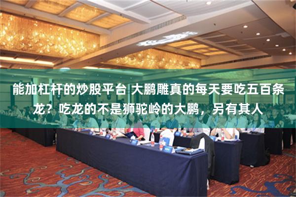 能加杠杆的炒股平台 大鹏雕真的每天要吃五百条龙？吃龙的不是狮驼岭的大鹏，另有其人