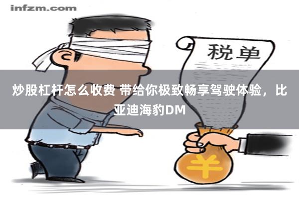 炒股杠杆怎么收费 带给你极致畅享驾驶体验，比亚迪海豹DM
