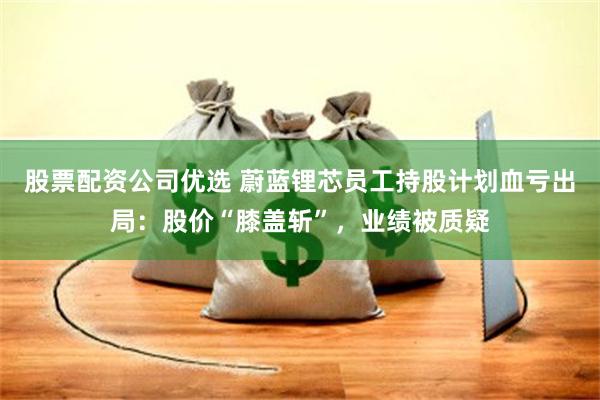 股票配资公司优选 蔚蓝锂芯员工持股计划血亏出局：股价“膝盖斩”，业绩被质疑