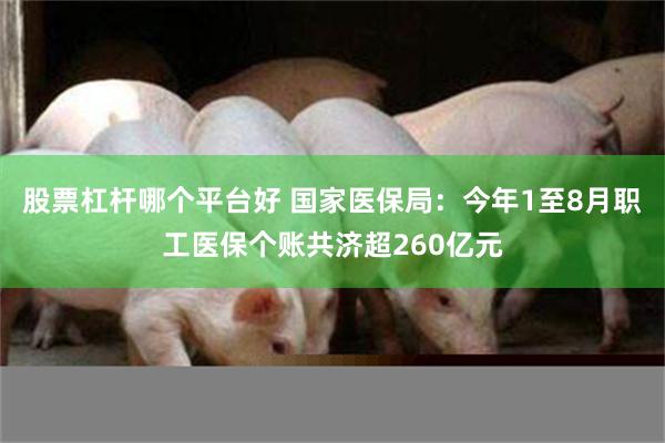 股票杠杆哪个平台好 国家医保局：今年1至8月职工医保个账共济超260亿元