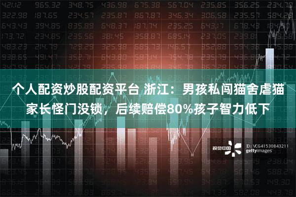 个人配资炒股配资平台 浙江：男孩私闯猫舍虐猫家长怪门没锁，后续赔偿80%孩子智力低下