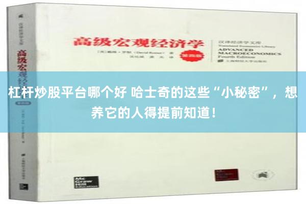 杠杆炒股平台哪个好 哈士奇的这些“小秘密”，想养它的人得提前知道！