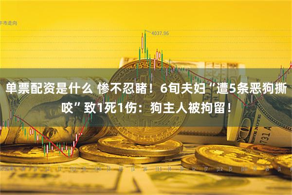 单票配资是什么 惨不忍睹！6旬夫妇“遭5条恶狗撕咬”致1死1伤：狗主人被拘留！
