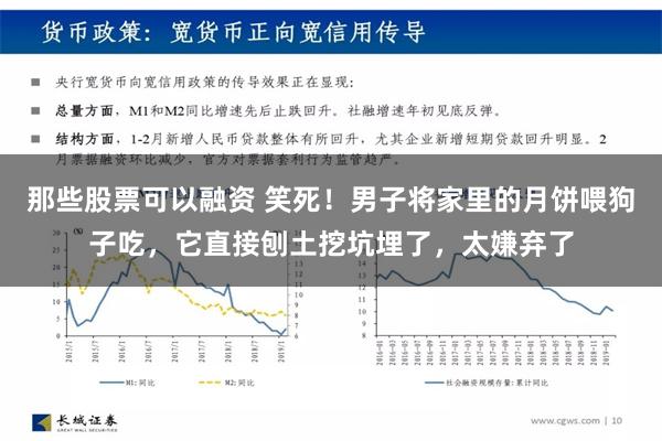 那些股票可以融资 笑死！男子将家里的月饼喂狗子吃，它直接刨土挖坑埋了，太嫌弃了