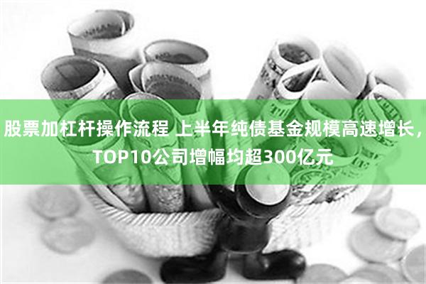 股票加杠杆操作流程 上半年纯债基金规模高速增长，TOP10公司增幅均超300亿元