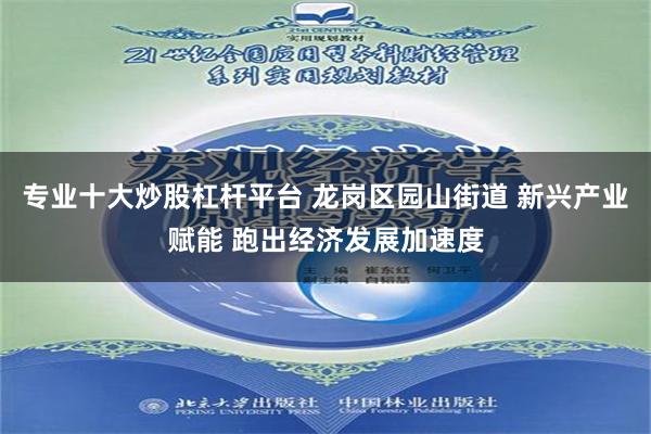 专业十大炒股杠杆平台 龙岗区园山街道 新兴产业赋能 跑出经济发展加速度