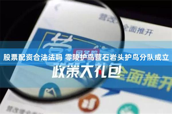 股票配资合法法吗 零陵护鸟营石岩头护鸟分队成立