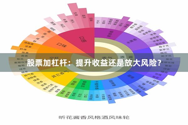 股票加杠杆：提升收益还是放大风险？