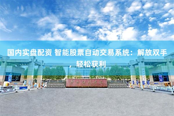 国内实盘配资 智能股票自动交易系统：解放双手，轻松获利