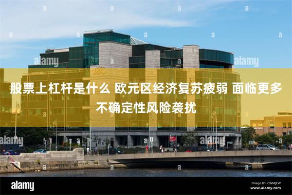股票上杠杆是什么 欧元区经济复苏疲弱 面临更多不确定性风险袭扰