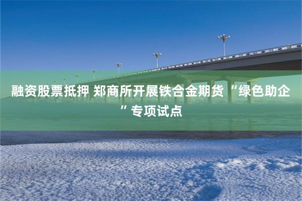 融资股票抵押 郑商所开展铁合金期货 “绿色助企”专项试点