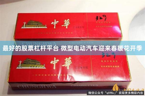 最好的股票杠杆平台 微型电动汽车迎来春暖花开季