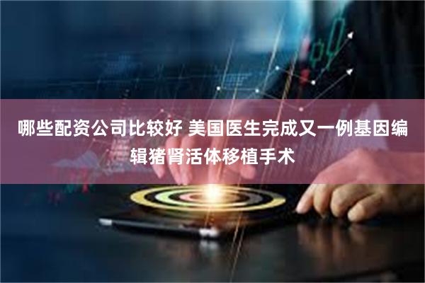 哪些配资公司比较好 美国医生完成又一例基因编辑猪肾活体移植手术