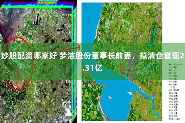 炒股配资哪家好 梦洁股份董事长前妻，拟清仓套现2.31亿