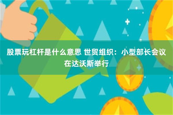 股票玩杠杆是什么意思 世贸组织：小型部长会议在达沃斯举行