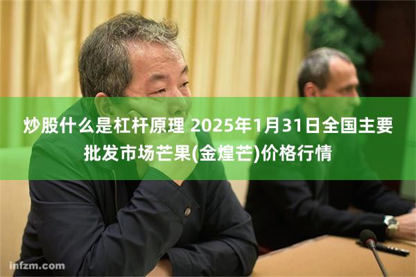 炒股什么是杠杆原理 2025年1月31日全国主要批发市场芒果(金煌芒)价格行情