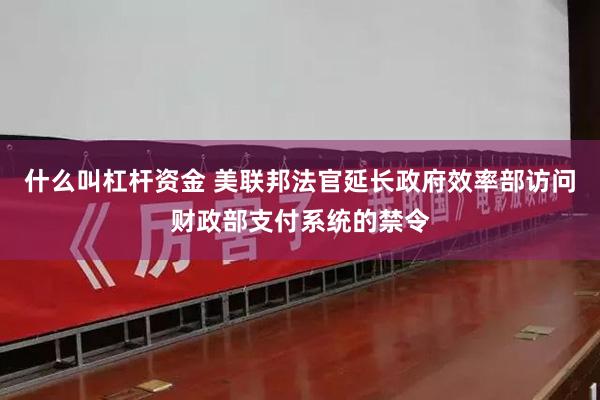 什么叫杠杆资金 美联邦法官延长政府效率部访问财政部支付系统的禁令