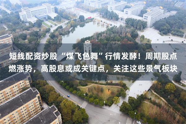 短线配资炒股 “煤飞色舞”行情发酵！周期股点燃涨势，高股息或成关键点，关注这些景气板块