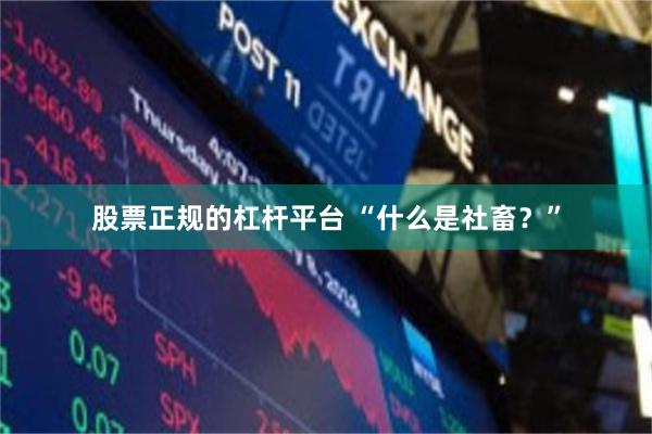股票正规的杠杆平台 “什么是社畜？”