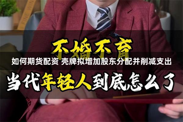 如何期货配资 壳牌拟增加股东分配并削减支出