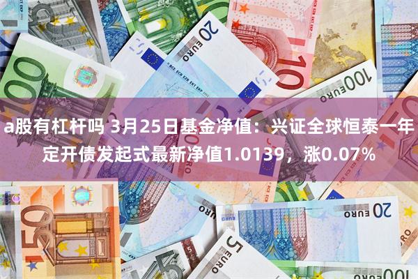 a股有杠杆吗 3月25日基金净值：兴证全球恒泰一年定开债发起式最新净值1.0139，涨0.07%
