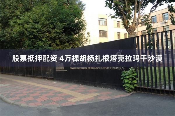 股票抵押配资 4万棵胡杨扎根塔克拉玛干沙漠