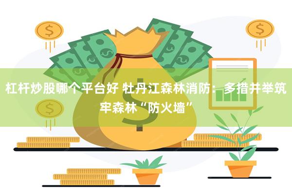杠杆炒股哪个平台好 牡丹江森林消防：多措并举筑牢森林“防火墙”