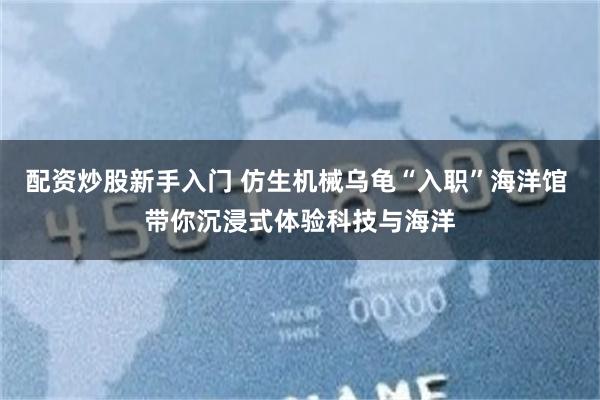 配资炒股新手入门 仿生机械乌龟“入职”海洋馆 带你沉浸式体验科技与海洋