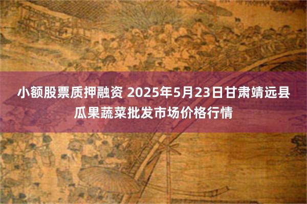 小额股票质押融资 2025年5月23日甘肃靖远县瓜果蔬菜批发市场价格行情