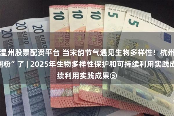 温州股票配资平台 当宋韵节气遇见生物多样性！杭州太“圈粉”了 | 2025年生物多样性保护和可持续利用实践成果⑤