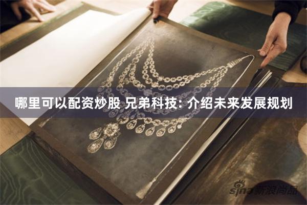 哪里可以配资炒股 兄弟科技: 介绍未来发展规划