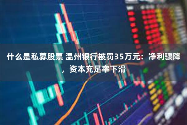 什么是私募股票 温州银行被罚35万元：净利骤降，资本充足率下滑