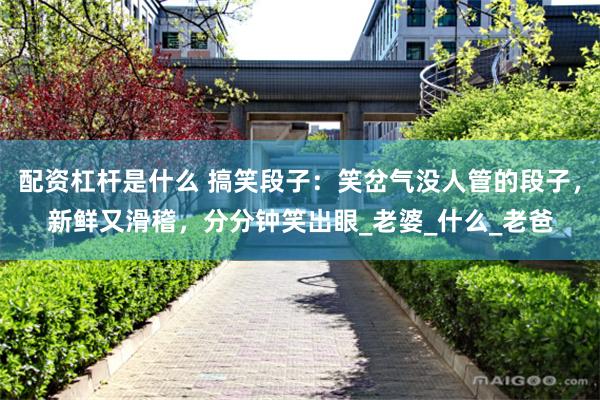 配资杠杆是什么 搞笑段子：笑岔气没人管的段子，新鲜又滑稽，分分钟笑出眼_老婆_什么_老爸