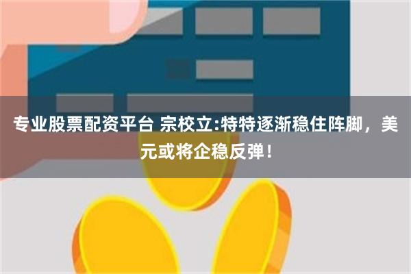 专业股票配资平台 宗校立:特特逐渐稳住阵脚，美元或将企稳反弹！