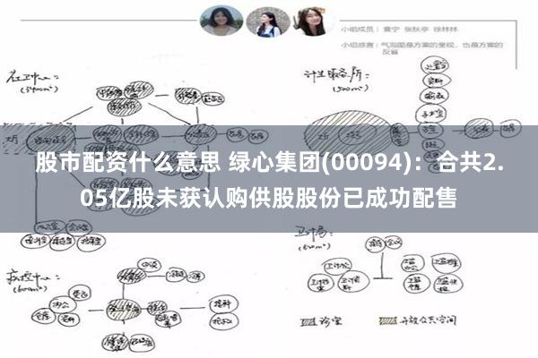 股市配资什么意思 绿心集团(00094)：合共2.05亿股未获认购供股股份已成功配售