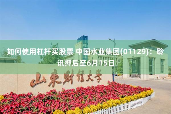 如何使用杠杆买股票 中国水业集团(01129)：聆讯押后至6月15日