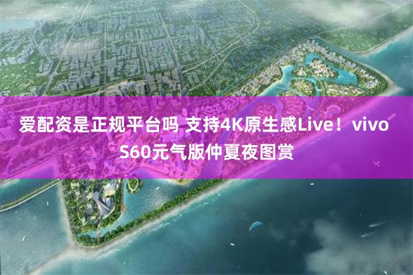 爱配资是正规平台吗 支持4K原生感Live！vivo S60元气版仲夏夜图赏
