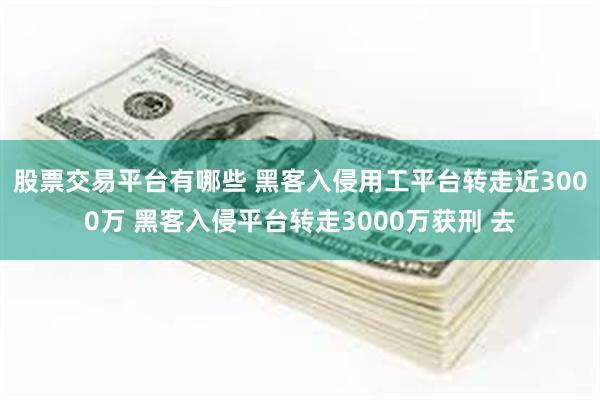 股票交易平台有哪些 黑客入侵用工平台转走近3000万 黑客入侵平台转走3000万获刑 去