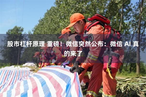 股市杠杆原理 重磅！微信突然公布：微信 AI 真的来了