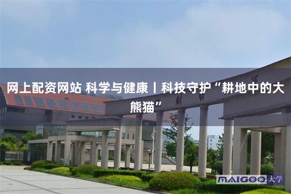 网上配资网站 科学与健康丨科技守护“耕地中的大熊猫”