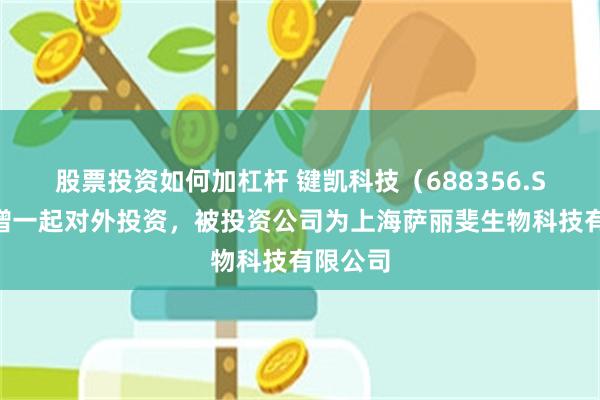 股票投资如何加杠杆 键凯科技（688356.SH）新增一起对外投资，被投资公司为上海萨丽斐生物科技有限公司