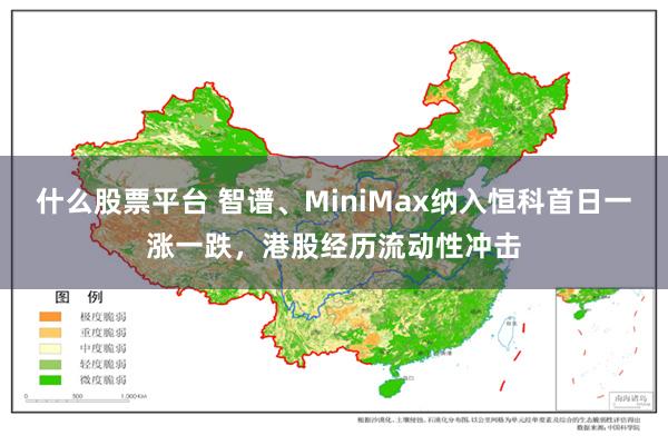什么股票平台 智谱、MiniMax纳入恒科首日一涨一跌，港股经历流动性冲击