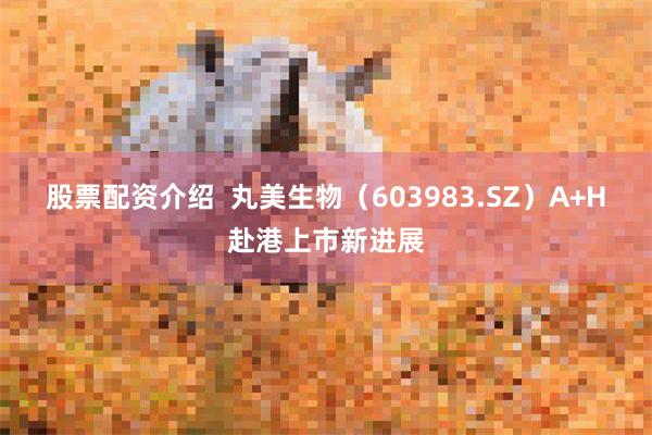 股票配资介绍  丸美生物（603983.SZ）A+H赴港上市新进展