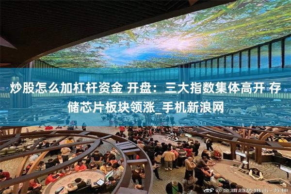 炒股怎么加杠杆资金 开盘：三大指数集体高开 存储芯片板块领涨_手机新浪网