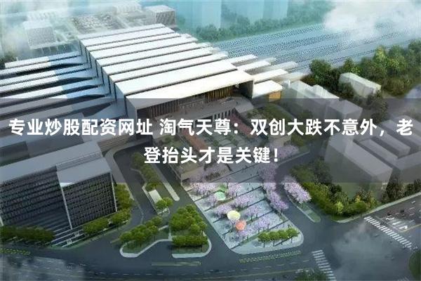 专业炒股配资网址 淘气天尊：双创大跌不意外，老登抬头才是关键！