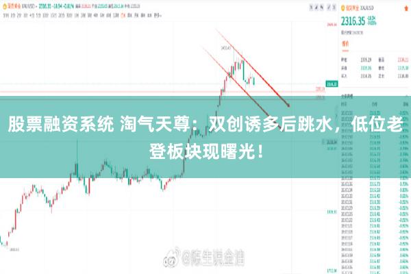 股票融资系统 淘气天尊：双创诱多后跳水，低位老登板块现曙光！