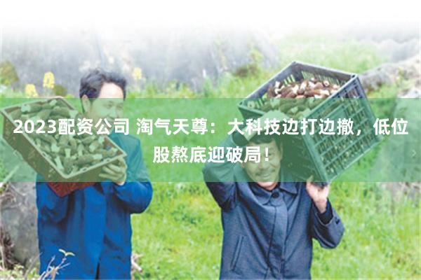 2023配资公司 淘气天尊：大科技边打边撤，低位股熬底迎破局！