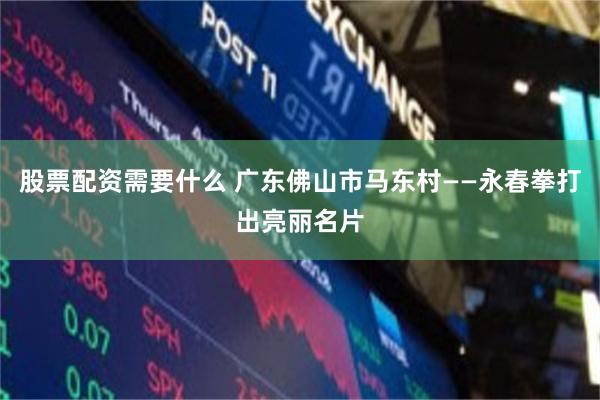 股票配资需要什么 广东佛山市马东村——永春拳打出亮丽名片