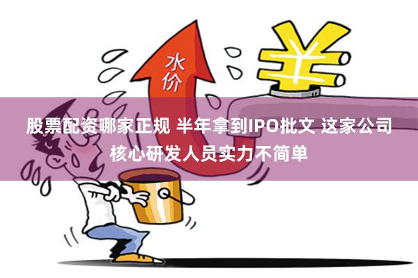 股票配资哪家正规 半年拿到IPO批文 这家公司核心研发人员实力不简单